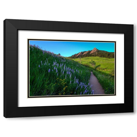 A Walk On The Wild Side Black Modern Wood Framed Art Print with Double Matting by Sherrell, Bill
