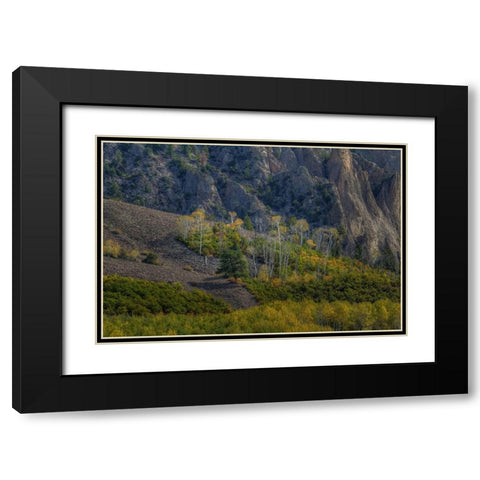 Aspen Sprites Black Modern Wood Framed Art Print with Double Matting by Sherrell, Bill