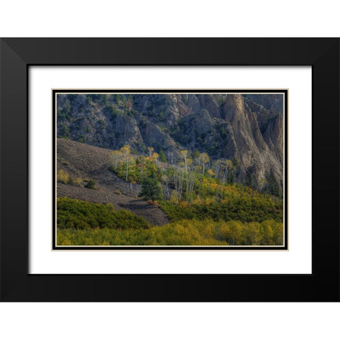 Aspen Sprites Black Modern Wood Framed Art Print with Double Matting by Sherrell, Bill