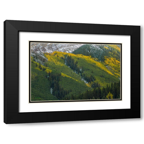 Autumn Angles Black Modern Wood Framed Art Print with Double Matting by Sherrell, Bill
