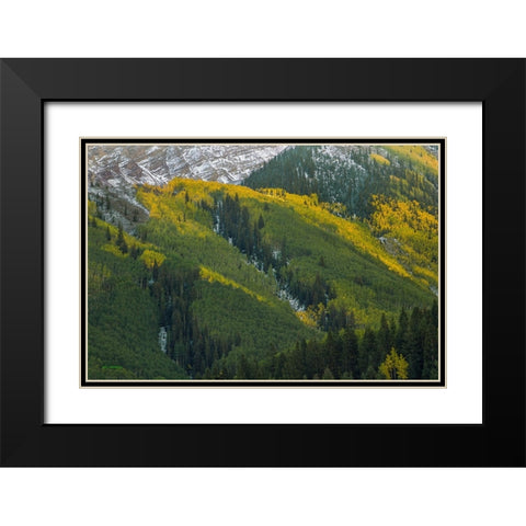 Autumn Angles Black Modern Wood Framed Art Print with Double Matting by Sherrell, Bill