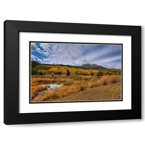Autumn Blaze Black Modern Wood Framed Art Print with Double Matting by Sherrell, Bill