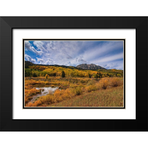 Autumn Blaze Black Modern Wood Framed Art Print with Double Matting by Sherrell, Bill