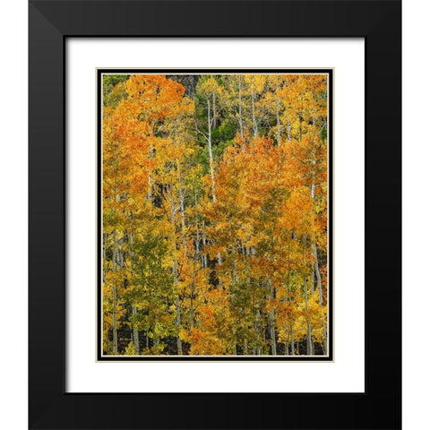 Transcending Illumination Black Modern Wood Framed Art Print with Double Matting by Sherrell, Bill
