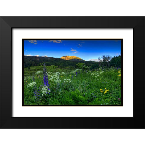 Wildflower Mountain Sunrise Black Modern Wood Framed Art Print with Double Matting by Sherrell, Bill