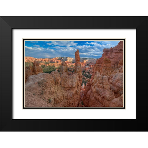 A Journey Through Bryce Canyon-Utah Black Modern Wood Framed Art Print with Double Matting by Sherrell, Bill