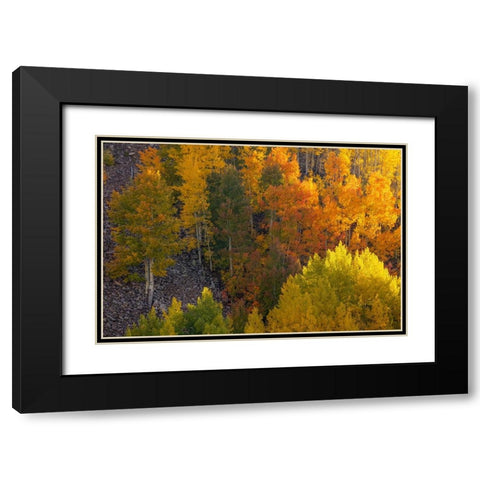 Autumn Highlights Black Modern Wood Framed Art Print with Double Matting by Sherrell, Bill