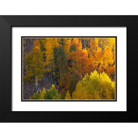 Autumn Highlights Black Modern Wood Framed Art Print with Double Matting by Sherrell, Bill