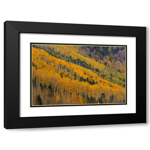 Autumn Rows Black Modern Wood Framed Art Print with Double Matting by Sherrell, Bill