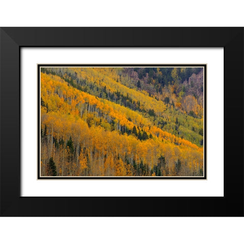 Autumn Rows Black Modern Wood Framed Art Print with Double Matting by Sherrell, Bill