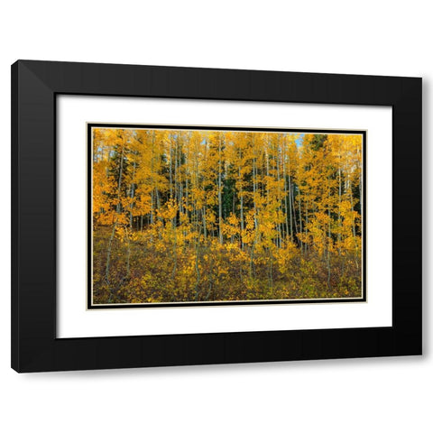 Bursting Into Autumn Black Modern Wood Framed Art Print with Double Matting by Sherrell, Bill