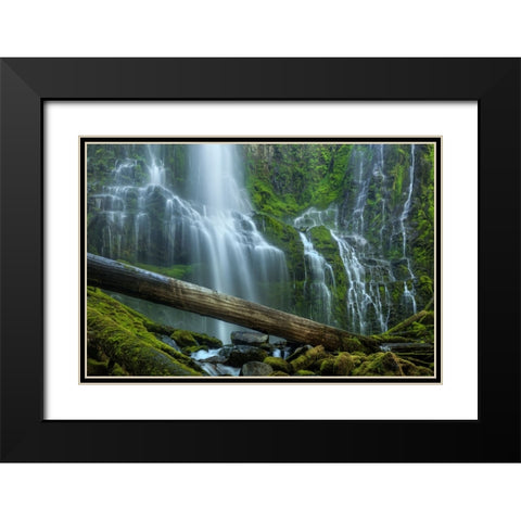 Proxy Falls Black Modern Wood Framed Art Print with Double Matting by Sherrell, Bill
