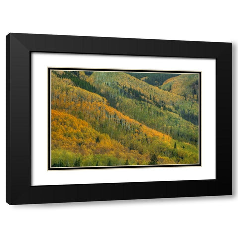 Rows Of Color Black Modern Wood Framed Art Print with Double Matting by Sherrell, Bill