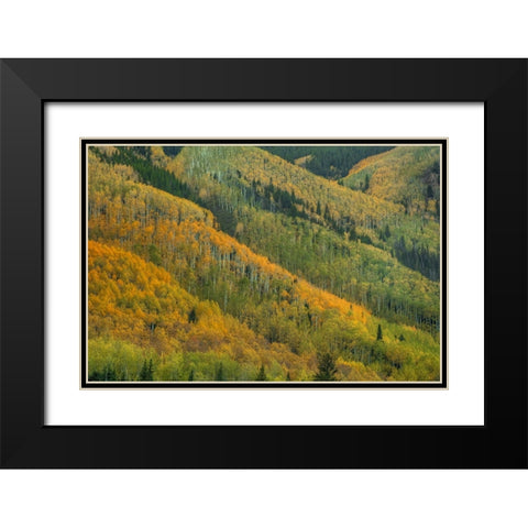 Rows Of Color Black Modern Wood Framed Art Print with Double Matting by Sherrell, Bill