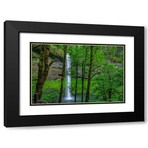 Silver Falls-Oregon 2 Black Modern Wood Framed Art Print with Double Matting by Sherrell, Bill