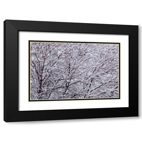 Synergy Black Modern Wood Framed Art Print with Double Matting by Sherrell, Bill