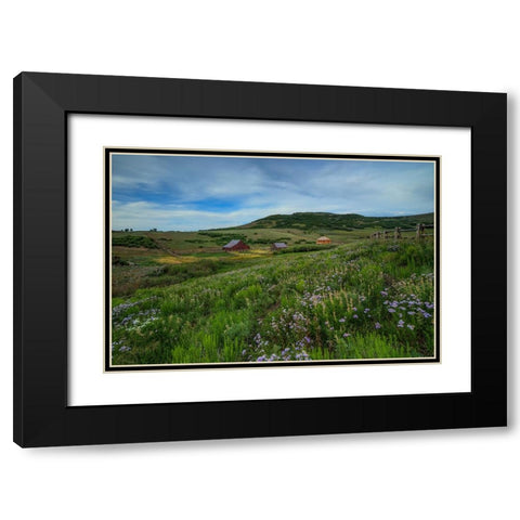 Wildflowers At The True Grit Ranch 1 Black Modern Wood Framed Art Print with Double Matting by Sherrell, Bill