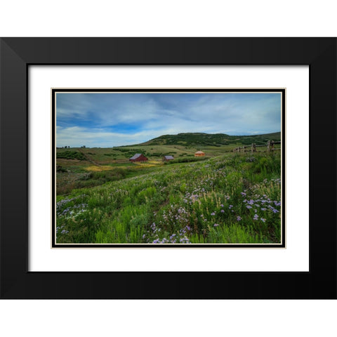 Wildflowers At The True Grit Ranch 1 Black Modern Wood Framed Art Print with Double Matting by Sherrell, Bill