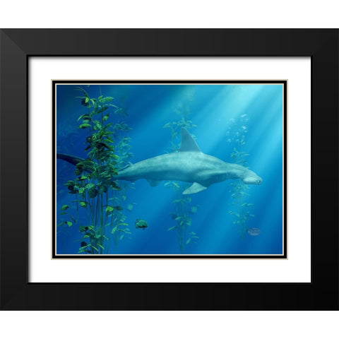 Hammer Head Among The Seaweed Black Modern Wood Framed Art Print with Double Matting by Eskridge, Daniel