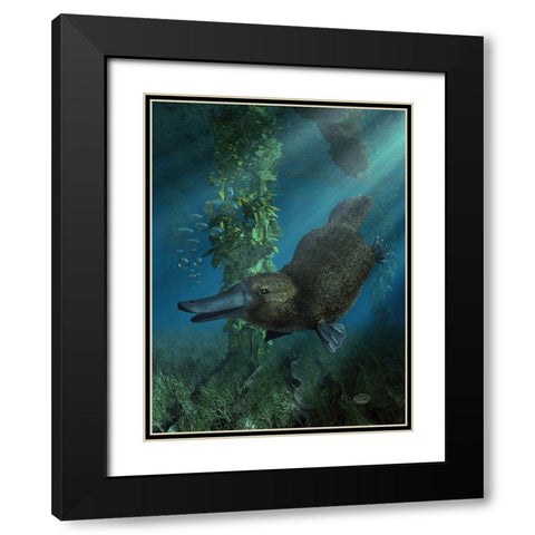 Platypus Black Modern Wood Framed Art Print with Double Matting by Eskridge, Daniel
