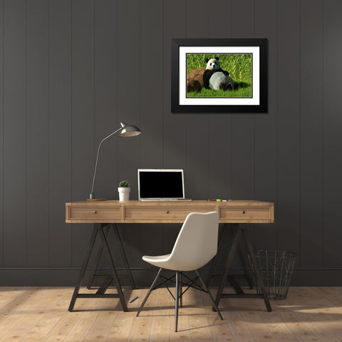 Reclining Panda Black Modern Wood Framed Art Print with Double Matting by Eskridge, Daniel