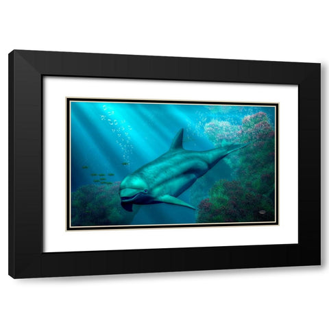 Smiling Dolphin Black Modern Wood Framed Art Print with Double Matting by Eskridge, Daniel