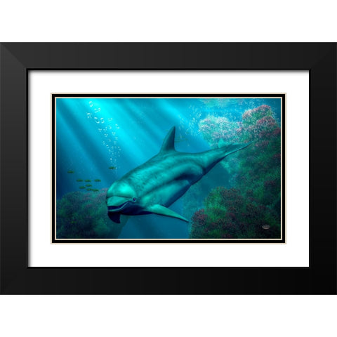 Smiling Dolphin Black Modern Wood Framed Art Print with Double Matting by Eskridge, Daniel