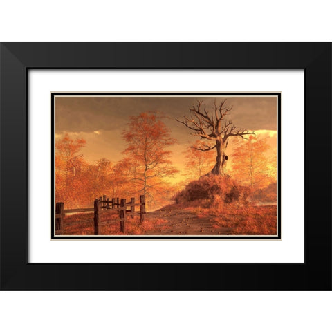 The Dead Tree Black Modern Wood Framed Art Print with Double Matting by Eskridge, Daniel