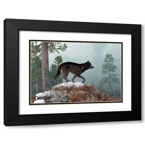 Winter Wolf Black Modern Wood Framed Art Print with Double Matting by Eskridge, Daniel