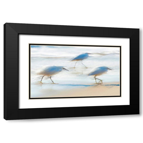 Pipers on a beach A Black Modern Wood Framed Art Print with Double Matting by Manlove, David