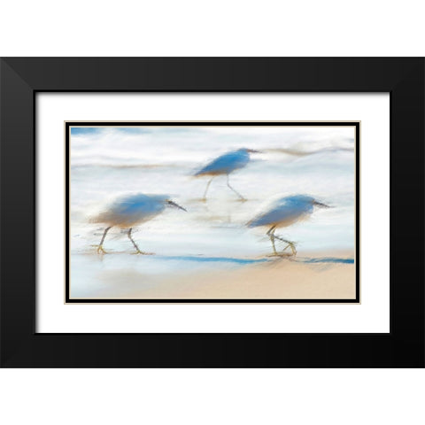 Pipers on a beach A Black Modern Wood Framed Art Print with Double Matting by Manlove, David