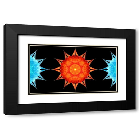 Starfish-side Black Modern Wood Framed Art Print with Double Matting by Manlove, David