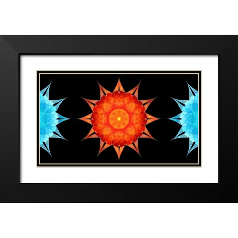 Starfish-side Black Modern Wood Framed Art Print with Double Matting by Manlove, David