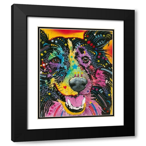 Smiling Collie  Black Modern Wood Framed Art Print with Double Matting by Dean Russo Collection