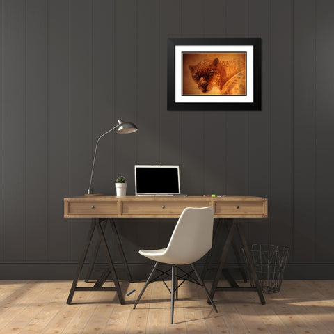 The Leopard Black Modern Wood Framed Art Print with Double Matting by Lund, Denton