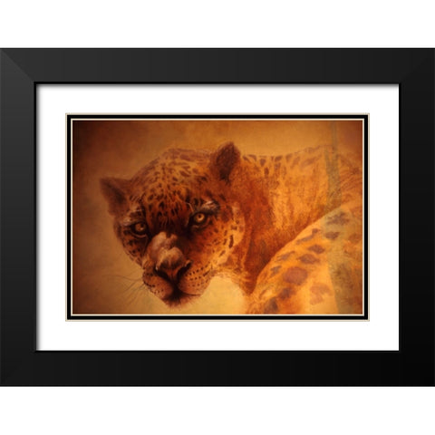 The Leopard Black Modern Wood Framed Art Print with Double Matting by Lund, Denton