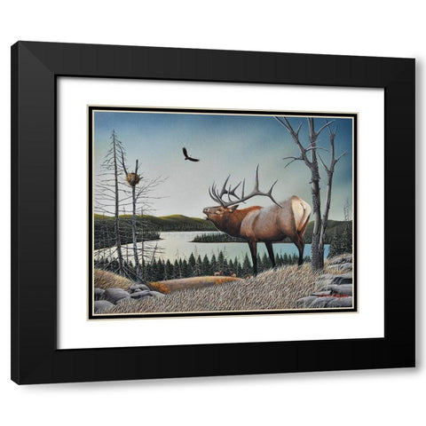 Bugling Elk Black Modern Wood Framed Art Print with Double Matting by Engler, Don
