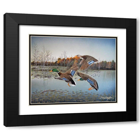 Landing Zone Black Modern Wood Framed Art Print with Double Matting by Engler, Don