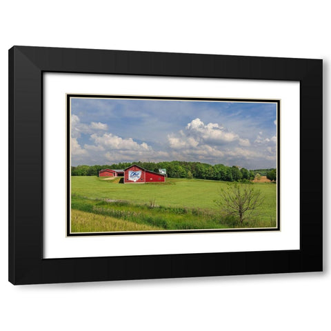 Ohio Farm Black Modern Wood Framed Art Print with Double Matting by Galloimages Online