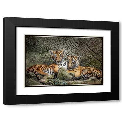 Brothers Twosome Black Modern Wood Framed Art Print with Double Matting by Galloimages Online