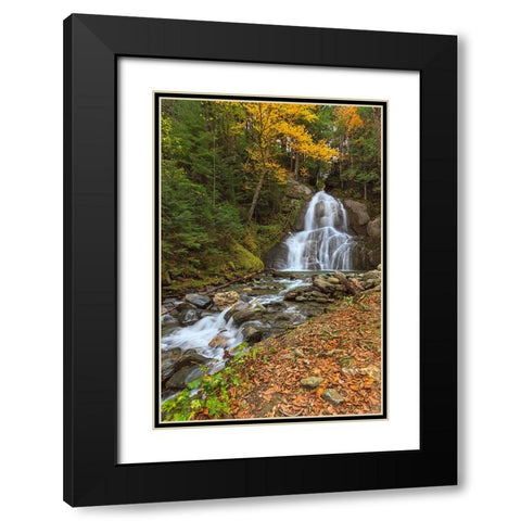 Moss Glen Falls in VT Black Modern Wood Framed Art Print with Double Matting by Galloimages Online