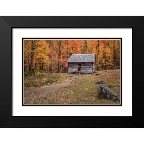 Alex Cole Cabin Black Modern Wood Framed Art Print with Double Matting by Galloimages Online