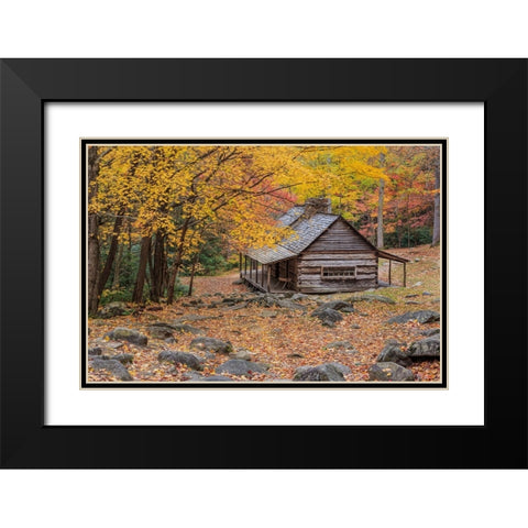 Bud Ogle Cabin Black Modern Wood Framed Art Print with Double Matting by Galloimages Online