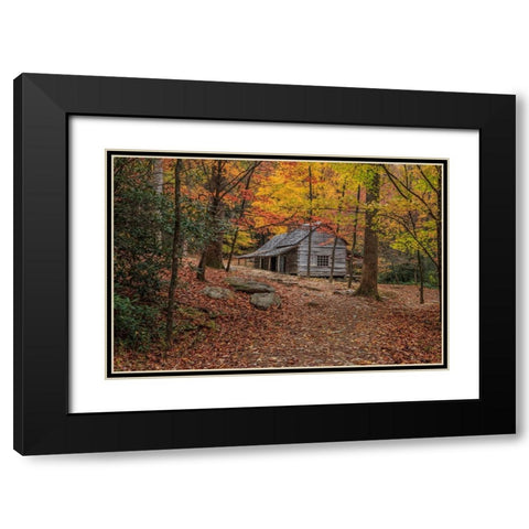 Bud Ogle Place -Composition 2 Black Modern Wood Framed Art Print with Double Matting by Galloimages Online
