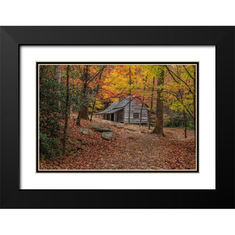 Bud Ogle Place -Composition 2 Black Modern Wood Framed Art Print with Double Matting by Galloimages Online