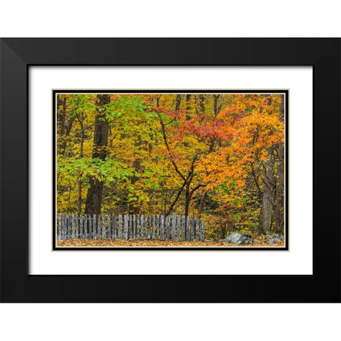 Fall Fence Scene Black Modern Wood Framed Art Print with Double Matting by Galloimages Online
