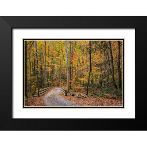 Greenbrier Bridge Path Black Modern Wood Framed Art Print with Double Matting by Galloimages Online