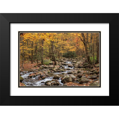 Greenbrier Cascade Black Modern Wood Framed Art Print with Double Matting by Galloimages Online