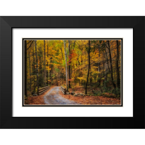 Greenbrier Path Black Modern Wood Framed Art Print with Double Matting by Galloimages Online