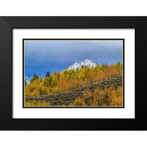 Mountain Fall Color Black Modern Wood Framed Art Print with Double Matting by Galloimages Online